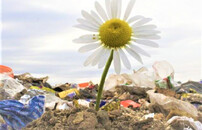 Králíky: Nový sociální podnik na třídění odpadů