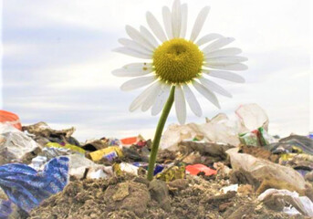 Králíky: Nový sociální podnik na třídění odpadů