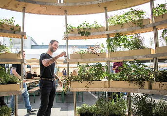 DÁNSKO: "Growroom - zahradní pokojíčky", estetika i potraviny ve městě 