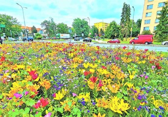 Valašské Meziříčí: Rozkvetlé město - péče o zeleň i ekovýchova 